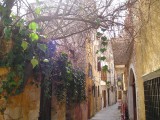 Old Street in Chania